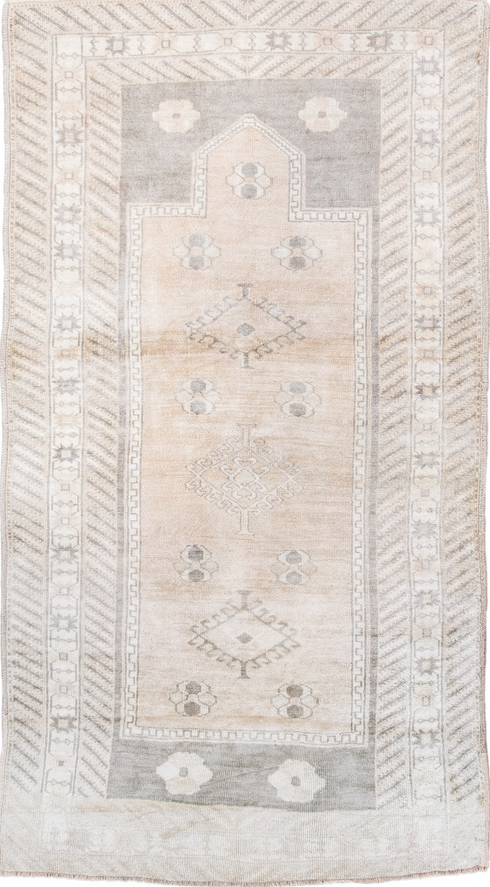 Antique Anatol Area Rug (3' x 6')